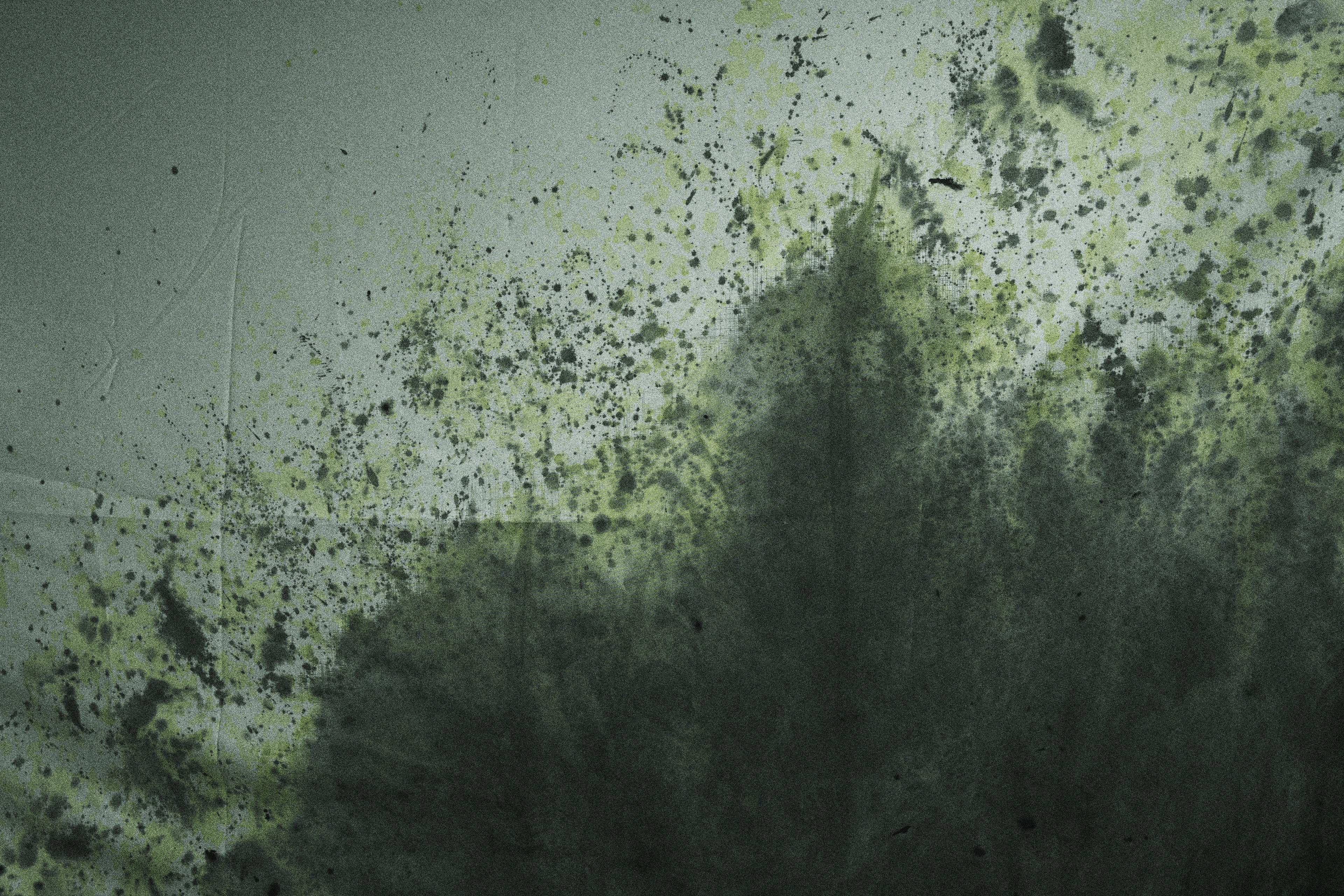 Contact image background