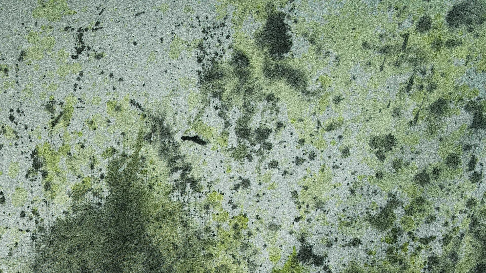 A decorative background